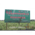 Ningxia Commercial Foreign Trade Co., Ltd.